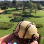 Top Snacks at Walt Disney World Resorts including Zebra Domes